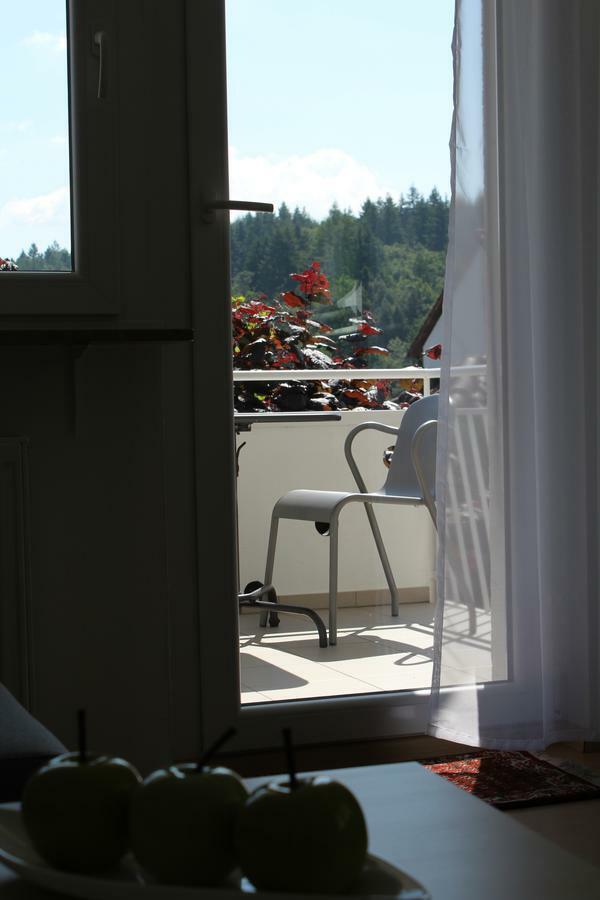 Gaestewohnungen Enztal Birkenfeld  Kamer foto